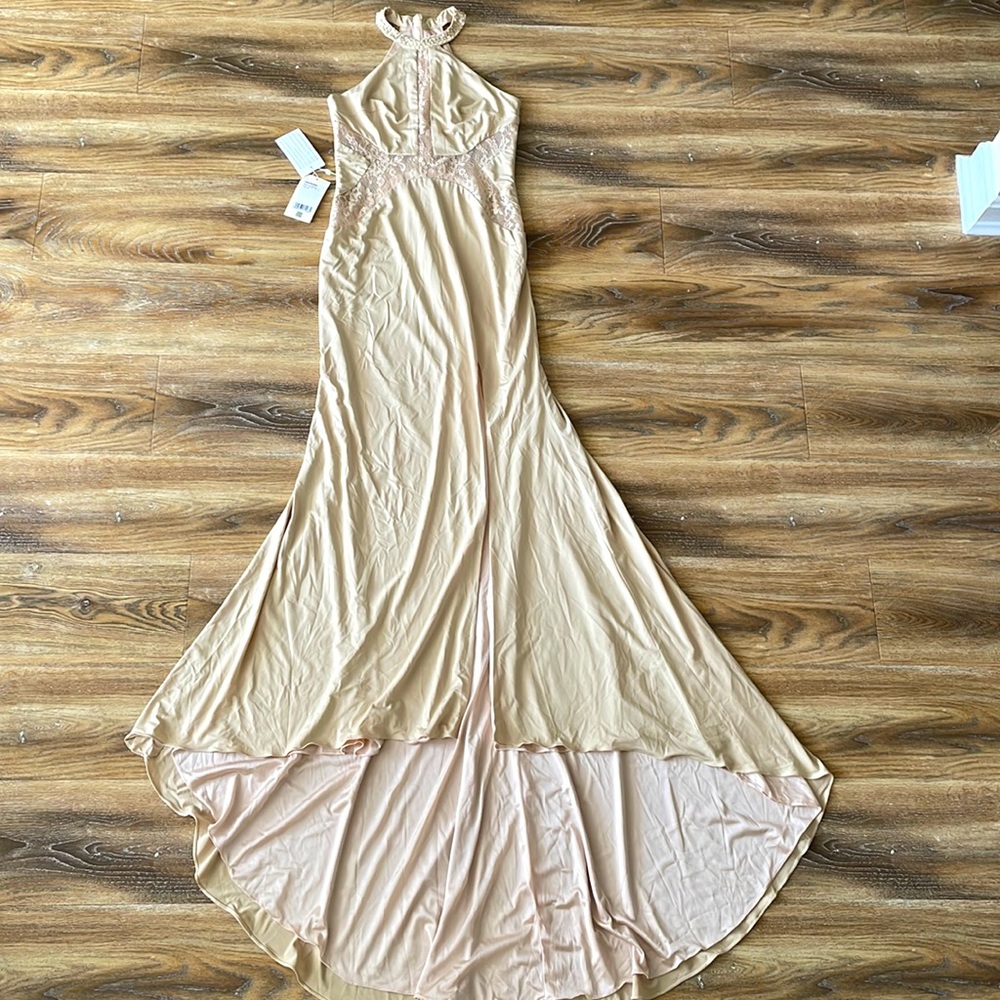 TS Couture Nude Color Formal Gown with Train NWT